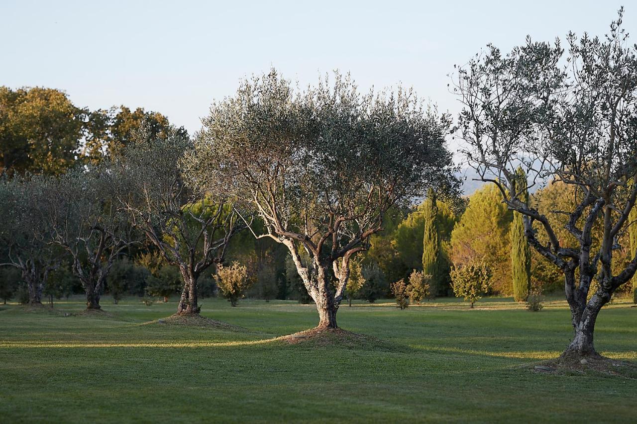 Mas Des Songes Hotel Monteux Bagian luar foto